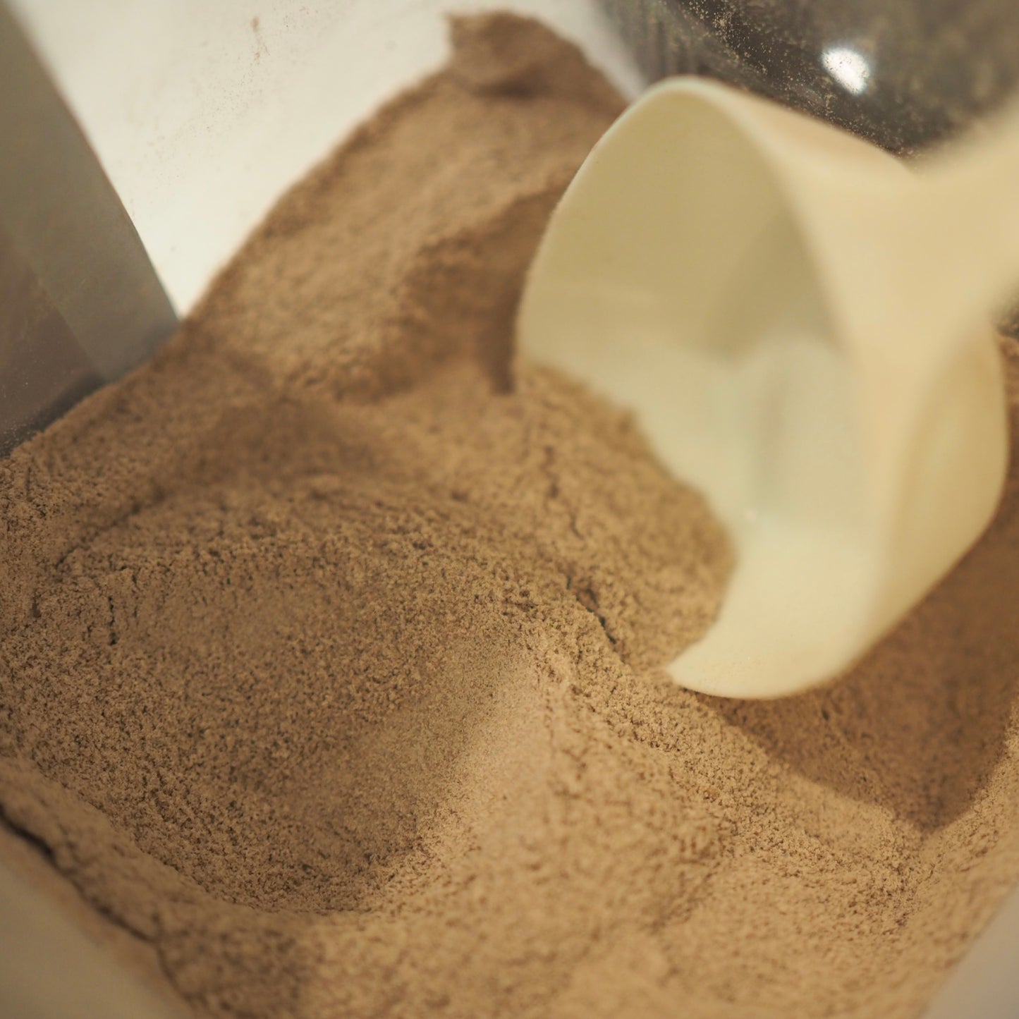 LUCUMA Protein